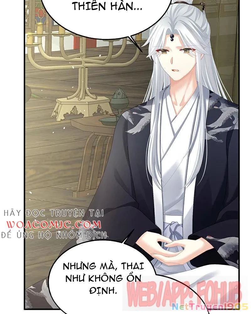Hậu Cung Của Nữ Đế Chapter 478 - Trang 2