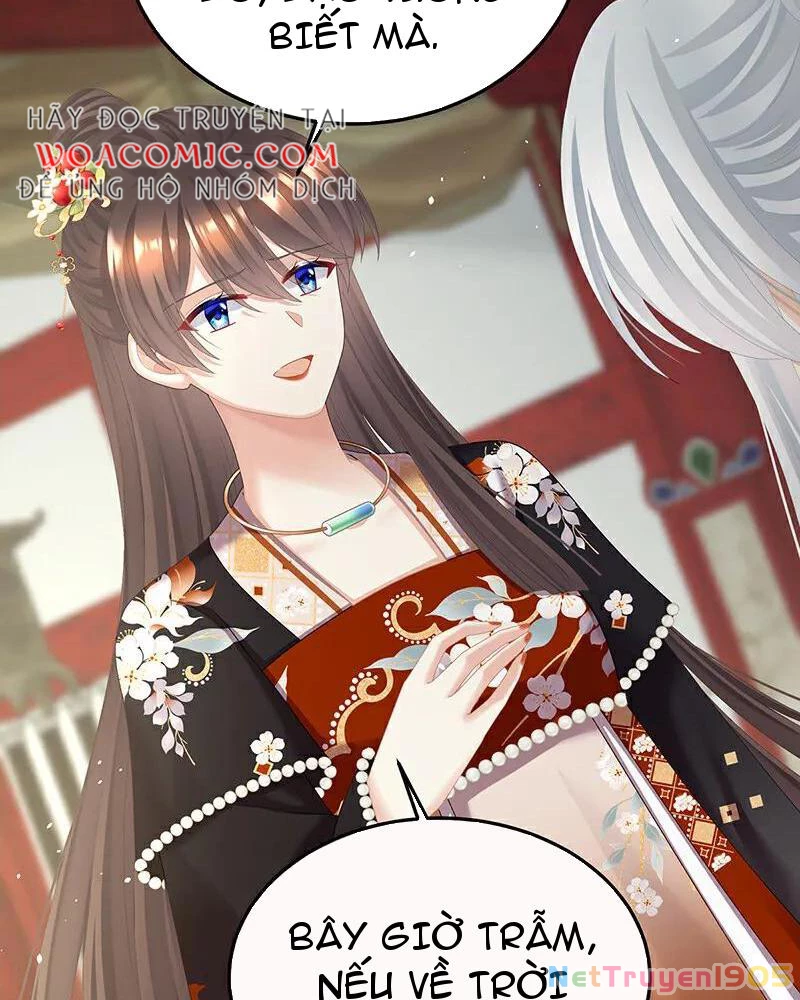 Hậu Cung Của Nữ Đế Chapter 478 - Trang 2
