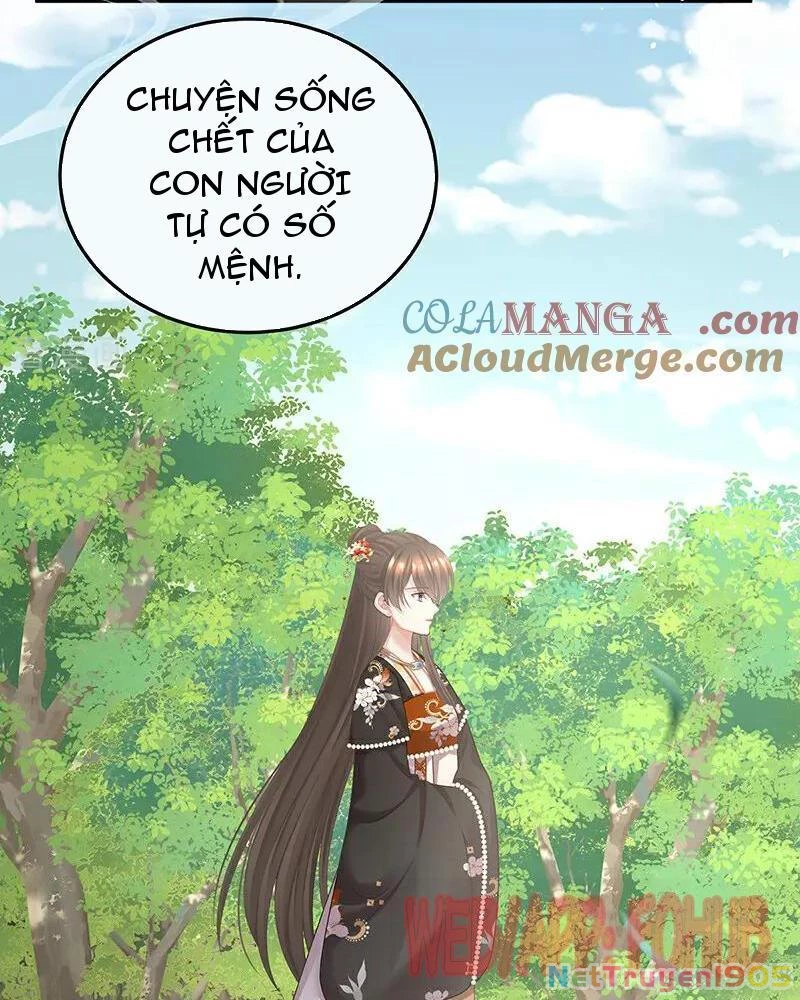 Hậu Cung Của Nữ Đế Chapter 478 - Trang 2