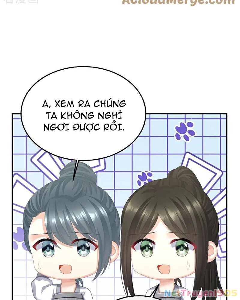 Hậu Cung Của Nữ Đế Chapter 479 - Trang 2