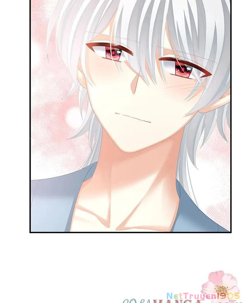 Hậu Cung Của Nữ Đế Chapter 481 - Trang 2
