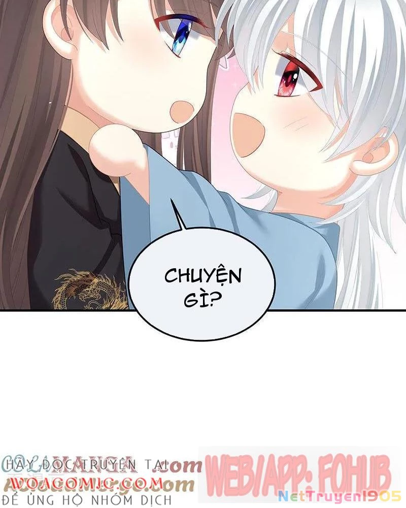 Hậu Cung Của Nữ Đế Chapter 481 - Trang 2