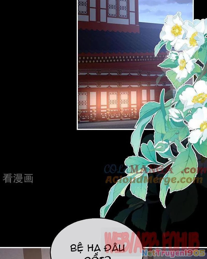 Hậu Cung Của Nữ Đế Chapter 481 - Trang 2