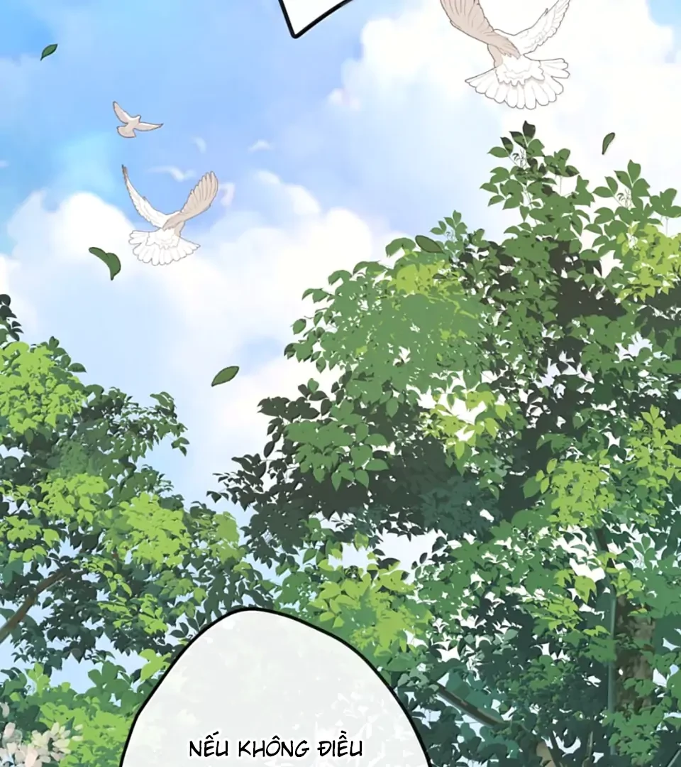 Nghe Nói Thái Hậu Với Thái Hậu Là Thật Sao?! Chapter 90 - Trang 2