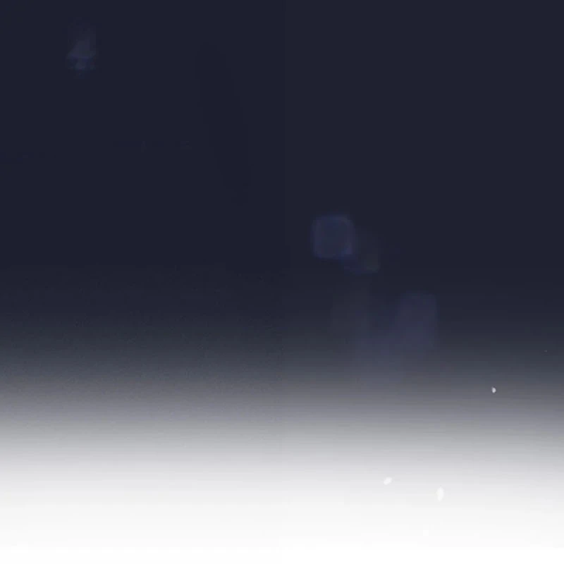 Nghe Nói Thái Hậu Với Thái Hậu Là Thật Sao?! Chapter 95 - Trang 2