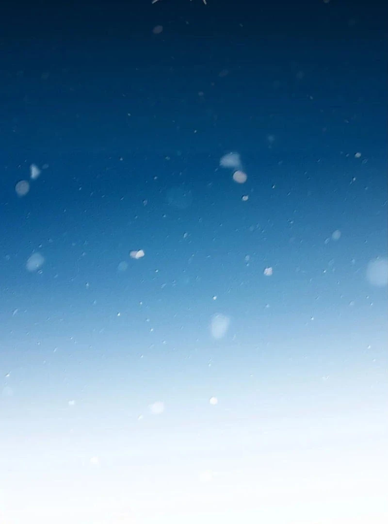 Nghe Nói Thái Hậu Với Thái Hậu Là Thật Sao?! Chapter 99 - Trang 2