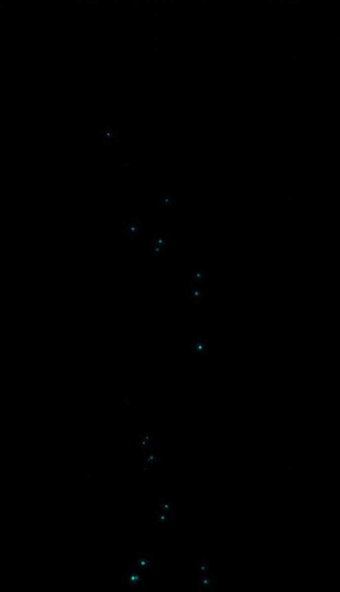 Đảo Ngược Chỉ Số : Từ Kẻ Xui Xẻo Thành Vô Địch! Chapter 1 - Trang 2