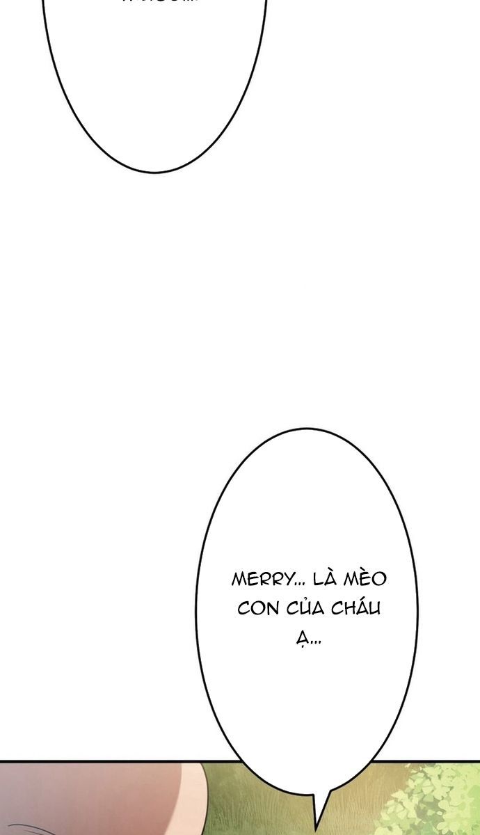 Đảo Ngược Chỉ Số : Từ Kẻ Xui Xẻo Thành Vô Địch! Chapter 8 - Trang 2