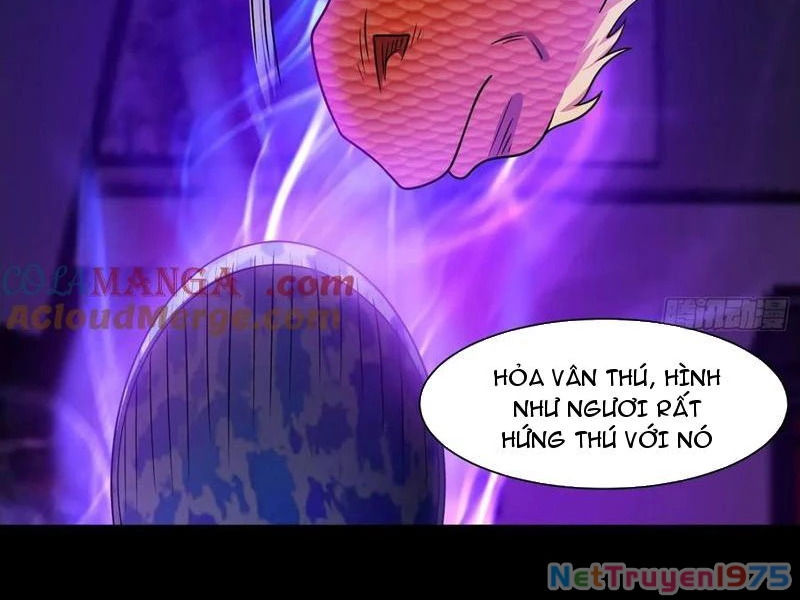 Ngự Thần Trùng Sinh Chapter 125 - Trang 2