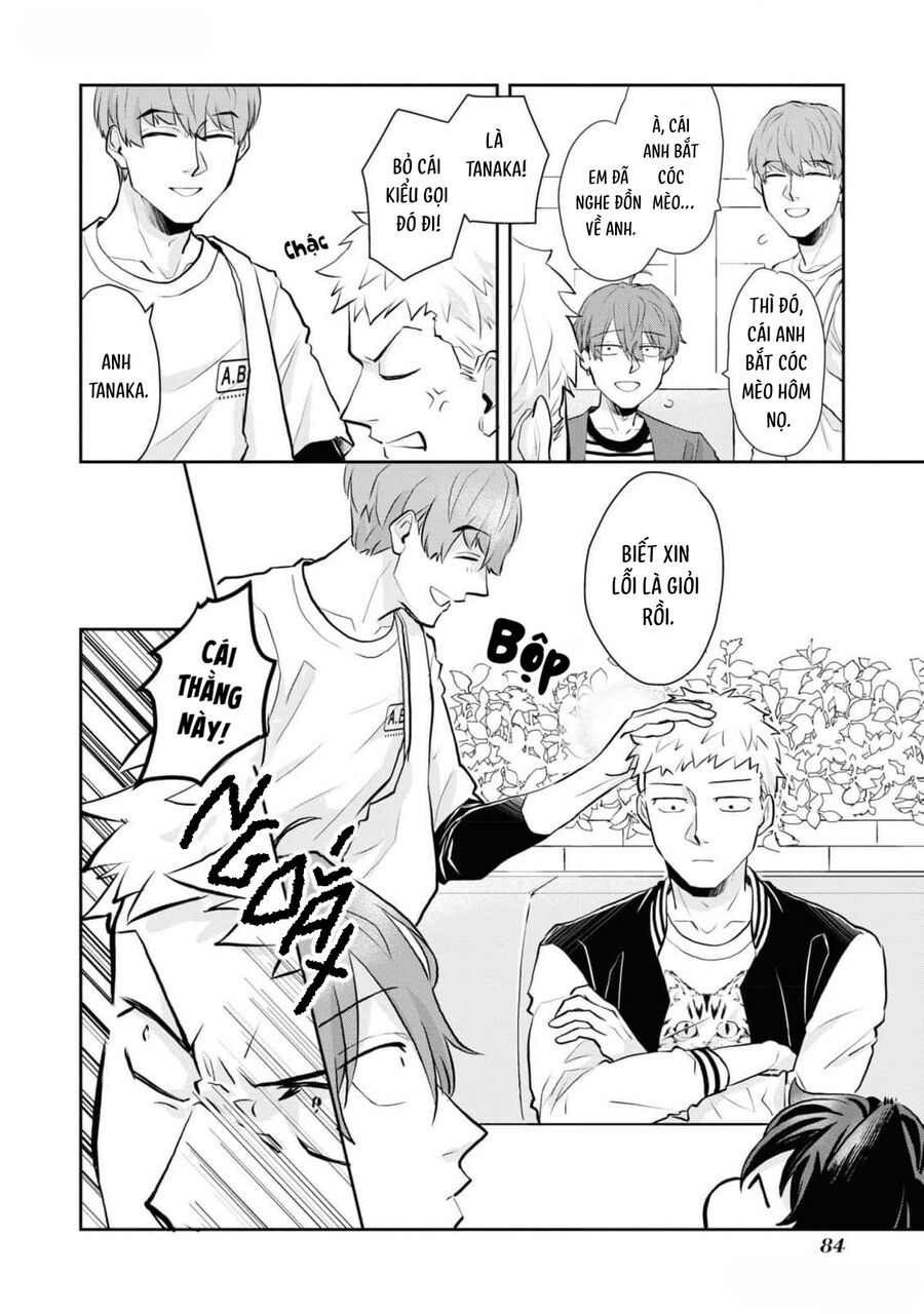 Anh Mèo Đẹp Trai Muốn Được Bạn Bao Nuôi Chapter 5 - Trang 2