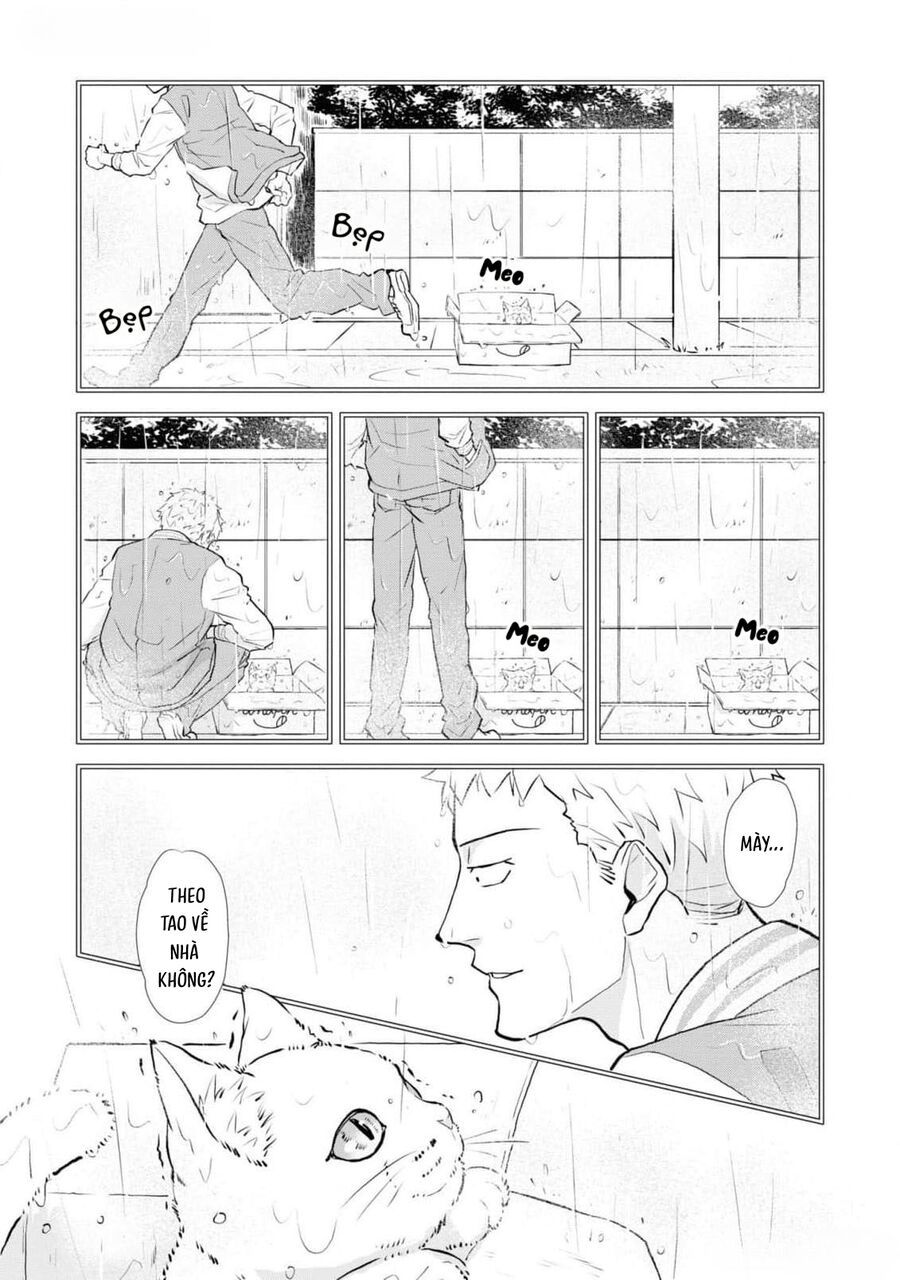 Anh Mèo Đẹp Trai Muốn Được Bạn Bao Nuôi Chapter 5 - Trang 2