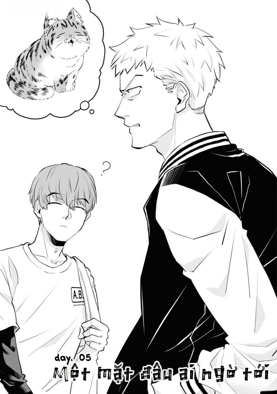 Anh Mèo Đẹp Trai Muốn Được Bạn Bao Nuôi Chapter 5 - Trang 2