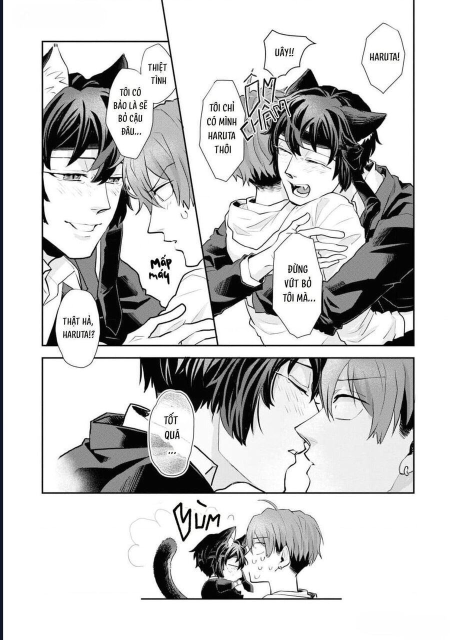 Anh Mèo Đẹp Trai Muốn Được Bạn Bao Nuôi Chapter 8 - Trang 2