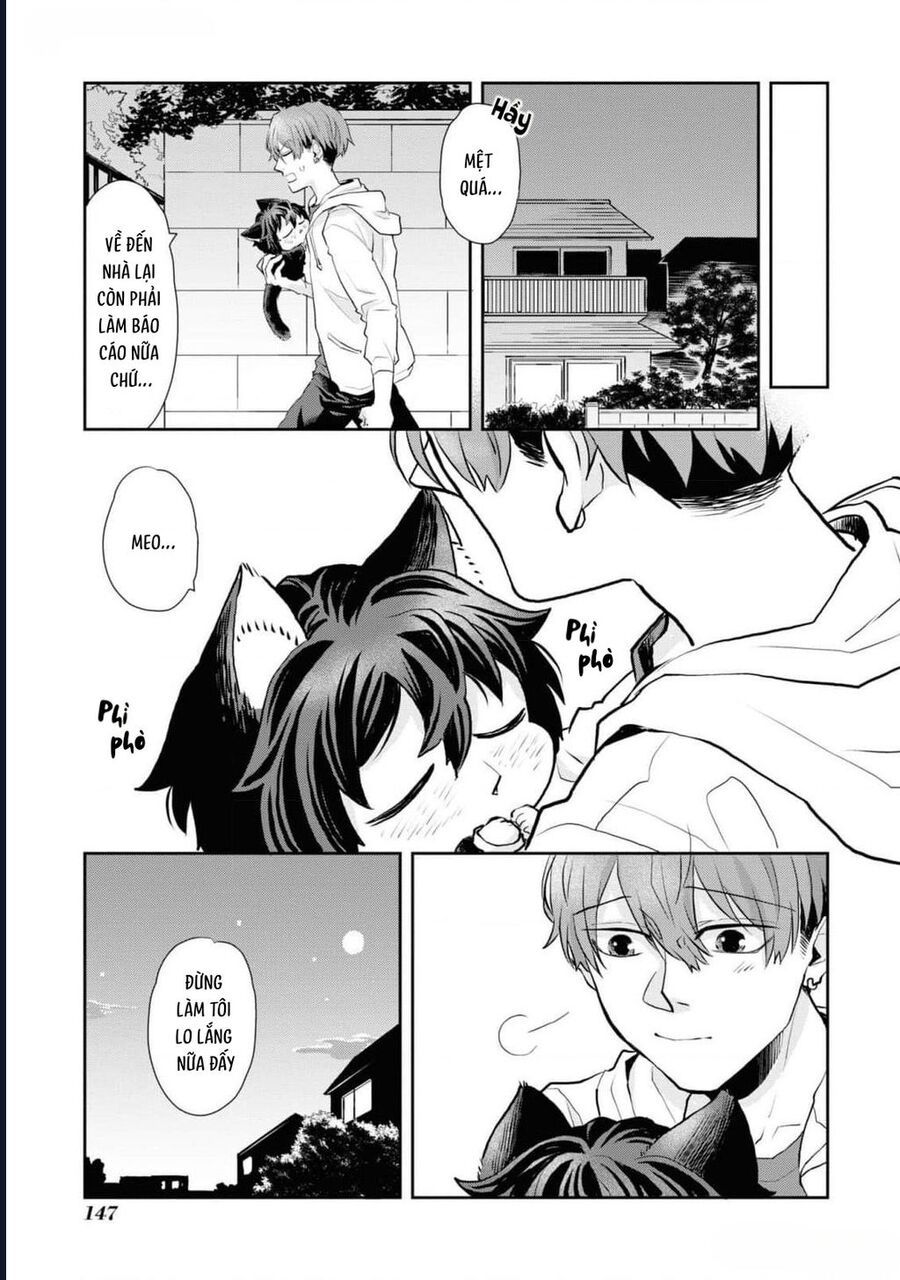 Anh Mèo Đẹp Trai Muốn Được Bạn Bao Nuôi Chapter 8 - Trang 2