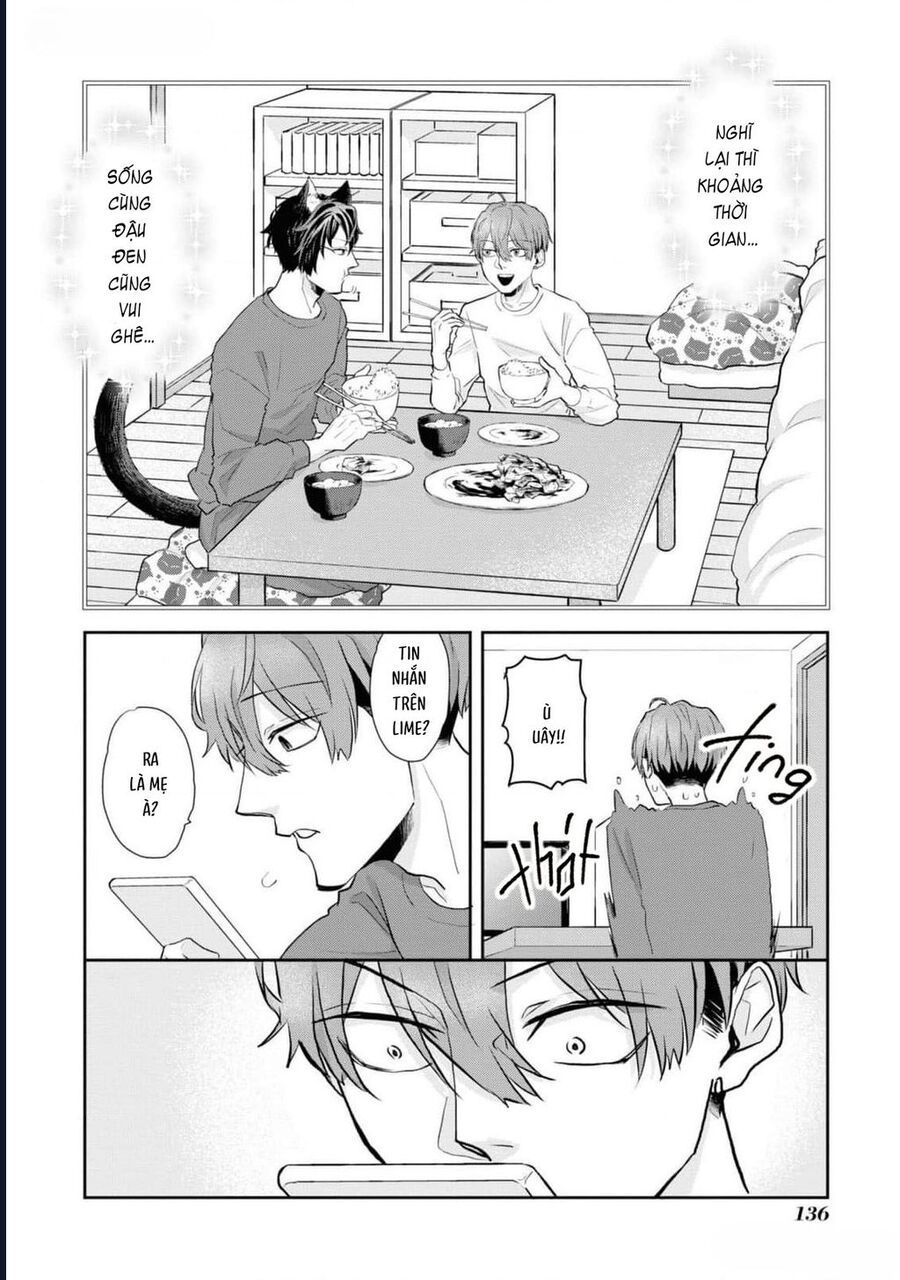 Anh Mèo Đẹp Trai Muốn Được Bạn Bao Nuôi Chapter 8 - Trang 2