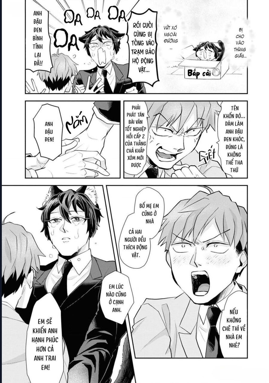 Anh Mèo Đẹp Trai Muốn Được Bạn Bao Nuôi Chapter 8 - Trang 2