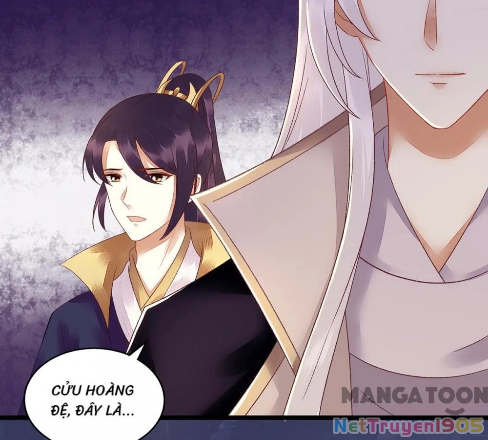 Nhất Phẩm Đích Nữ Chapter 127 - Trang 2