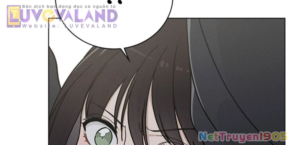 Ex-Love Review – Bảng Đánh Giá Người Yêu Cũ Chapter 7 - Trang 2
