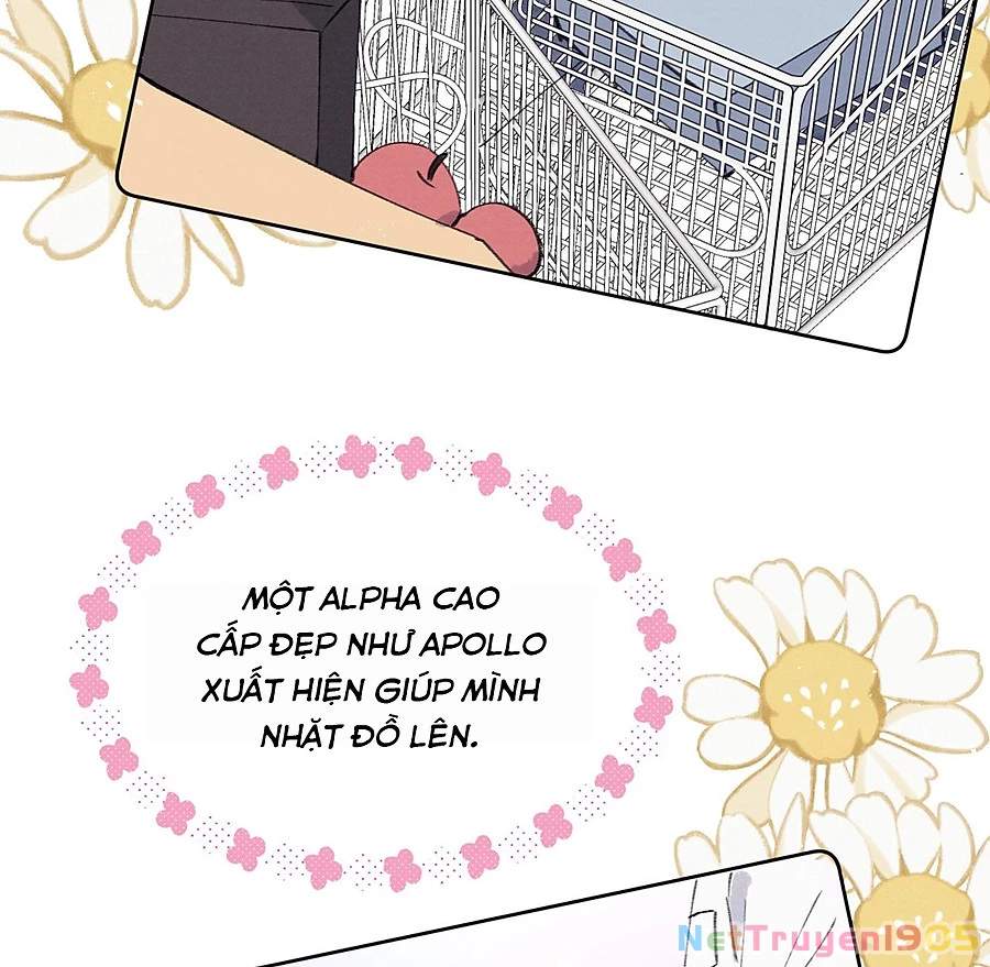 Nhật Ký Thất Tình Của Nhung Tiên Sinh Chapter 35.1 - Trang 2