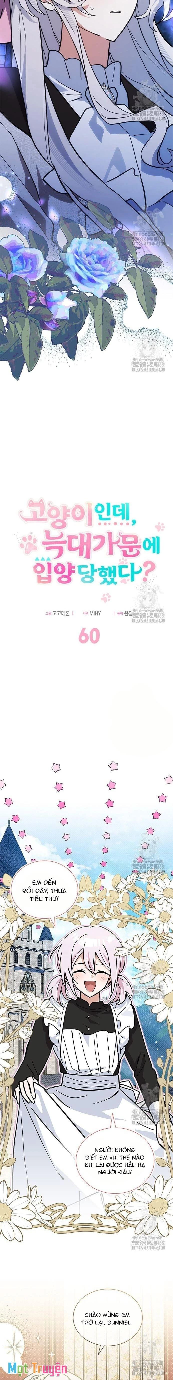 Mèo Con Được Gia Tộc Sói Nhận Nuôi? Chapter 60 - Trang 2