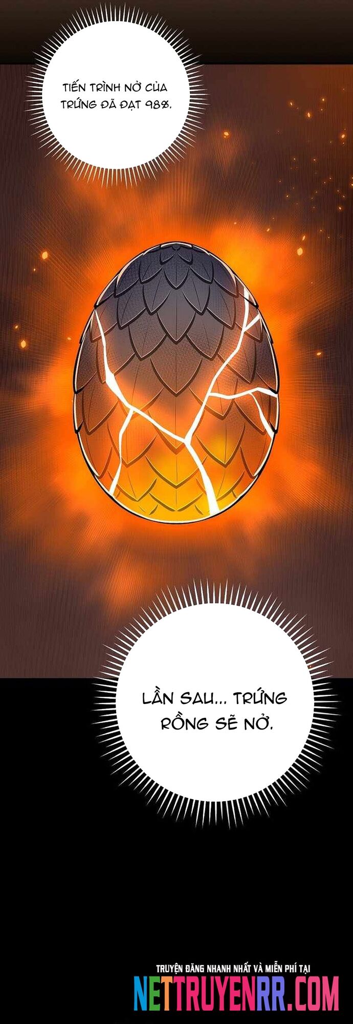 Streamer Pháp Sư Chapter 142 - Trang 2