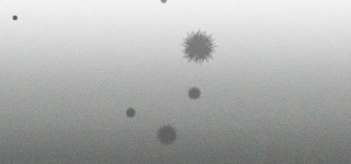 The Castle – Quỷ Nhãn Tân Nương Chapter 5 - Trang 2