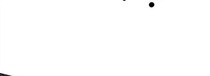 The Castle – Quỷ Nhãn Tân Nương Chapter 45 - Trang 2