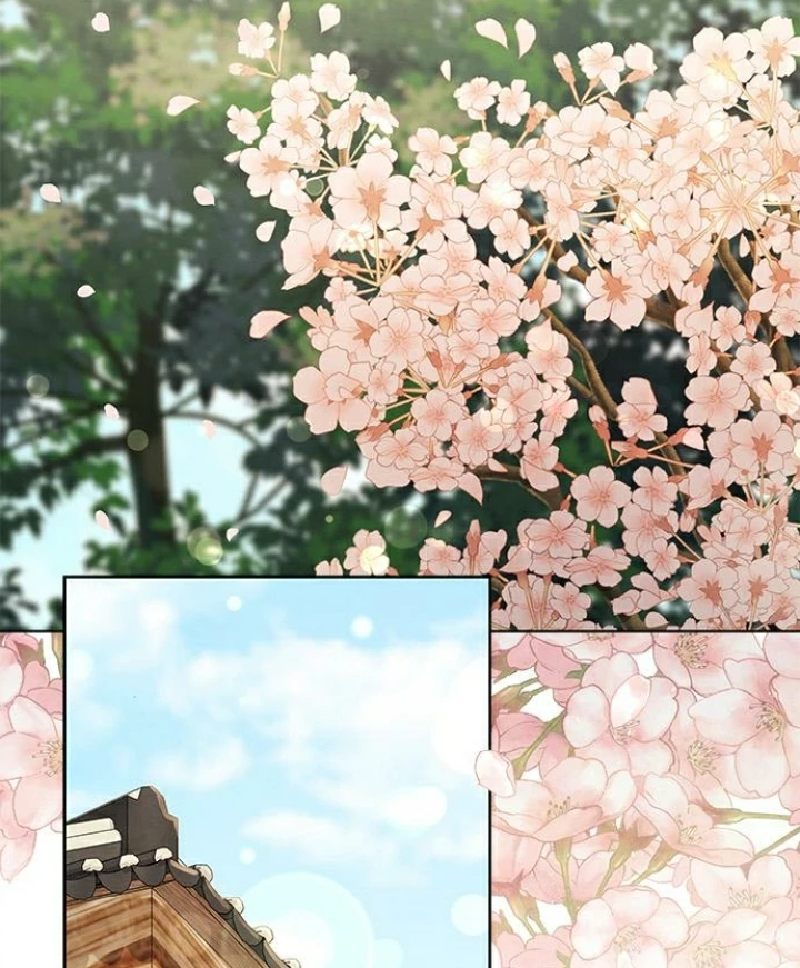 The Castle – Quỷ Nhãn Tân Nương Chapter 109 - Trang 2