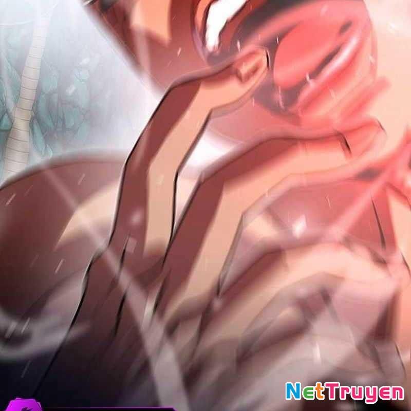 Võ Đài Sinh Tử Chapter 20 - Trang 2