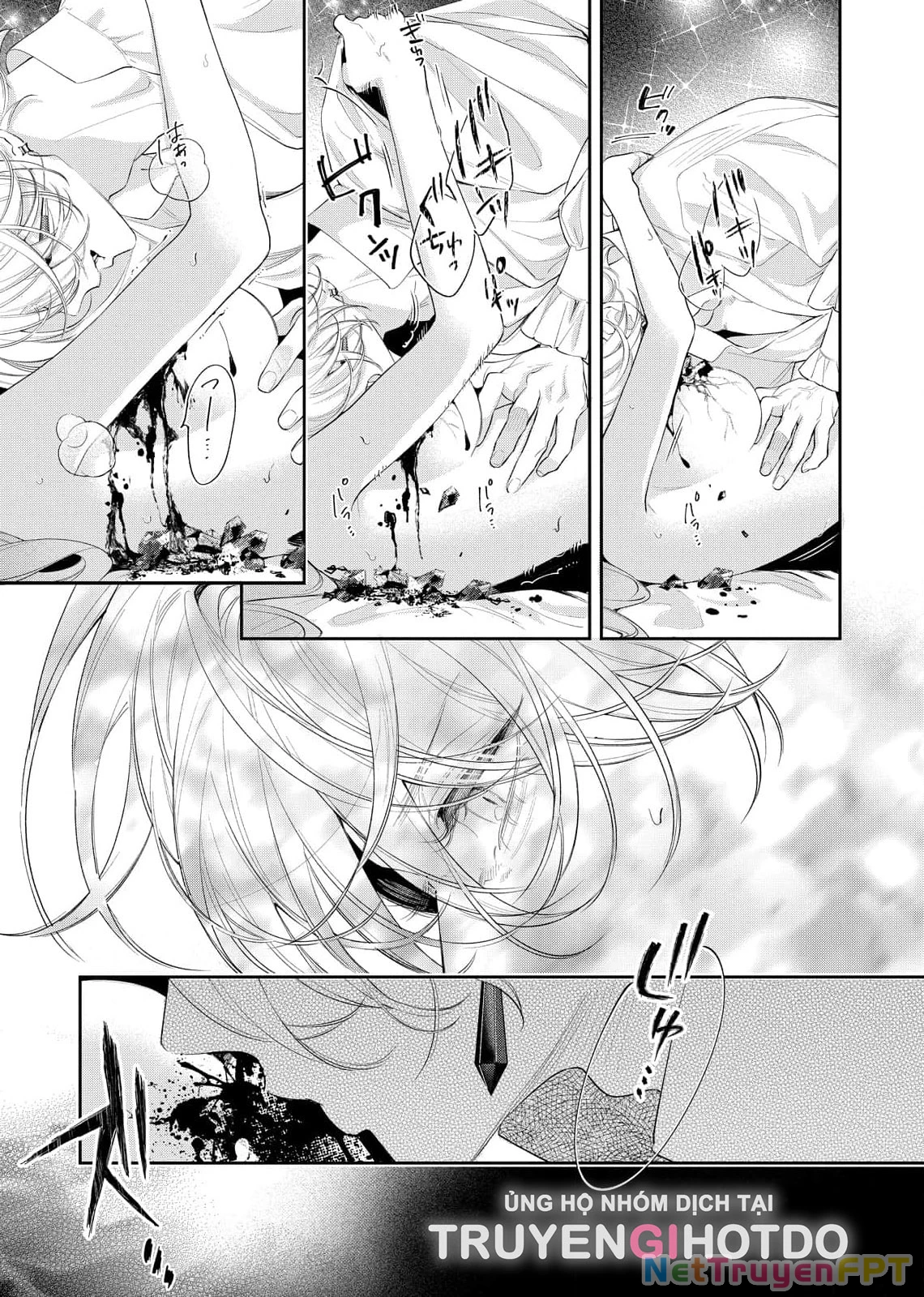 Sao Băng Ẩn Trong Hoa Chapter 8.1 - Trang 2
