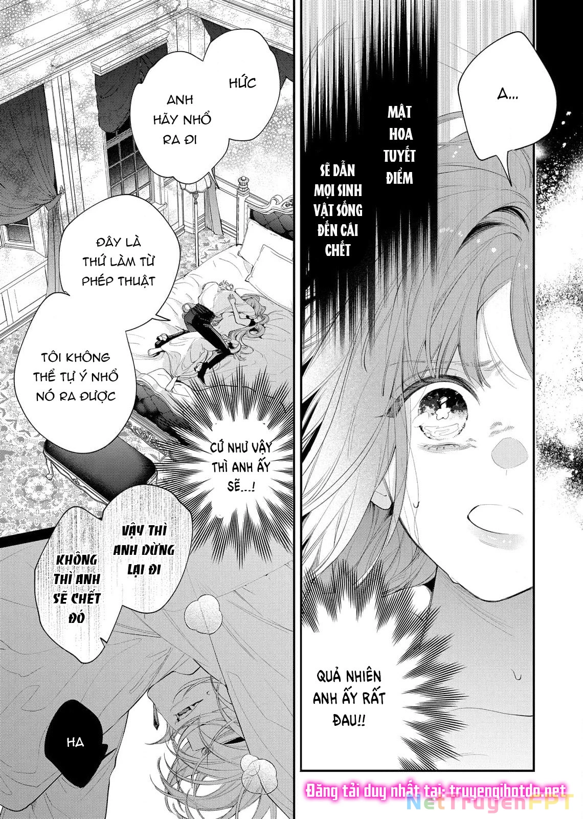 Sao Băng Ẩn Trong Hoa Chapter 8.1 - Trang 2