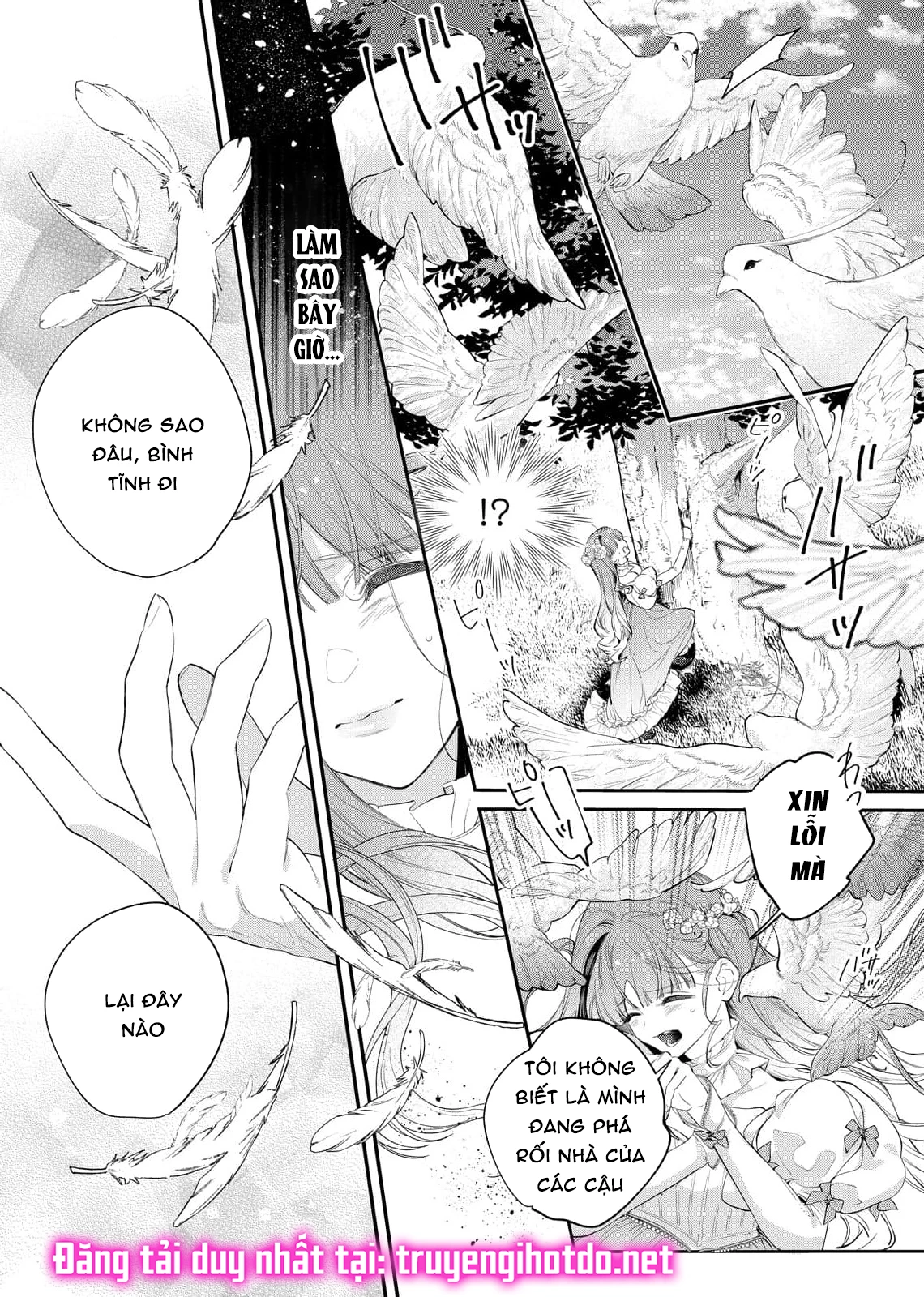 Sao Băng Ẩn Trong Hoa Chapter 11.1 - Trang 2