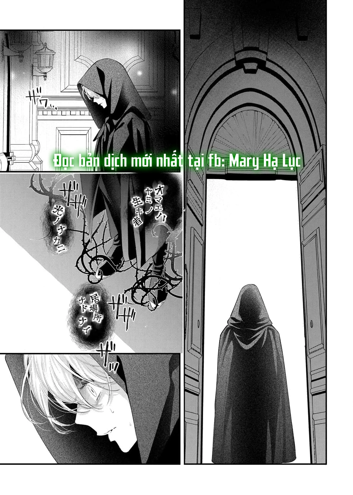 Sao Băng Ẩn Trong Hoa Chapter 12.1 - Trang 2
