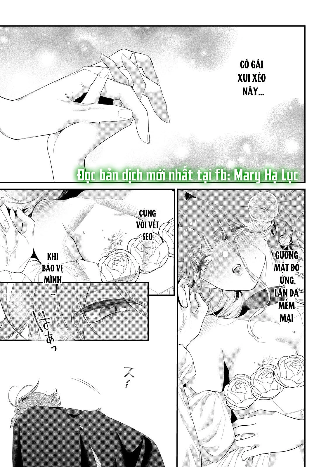 Sao Băng Ẩn Trong Hoa Chapter 14.2 - Trang 2