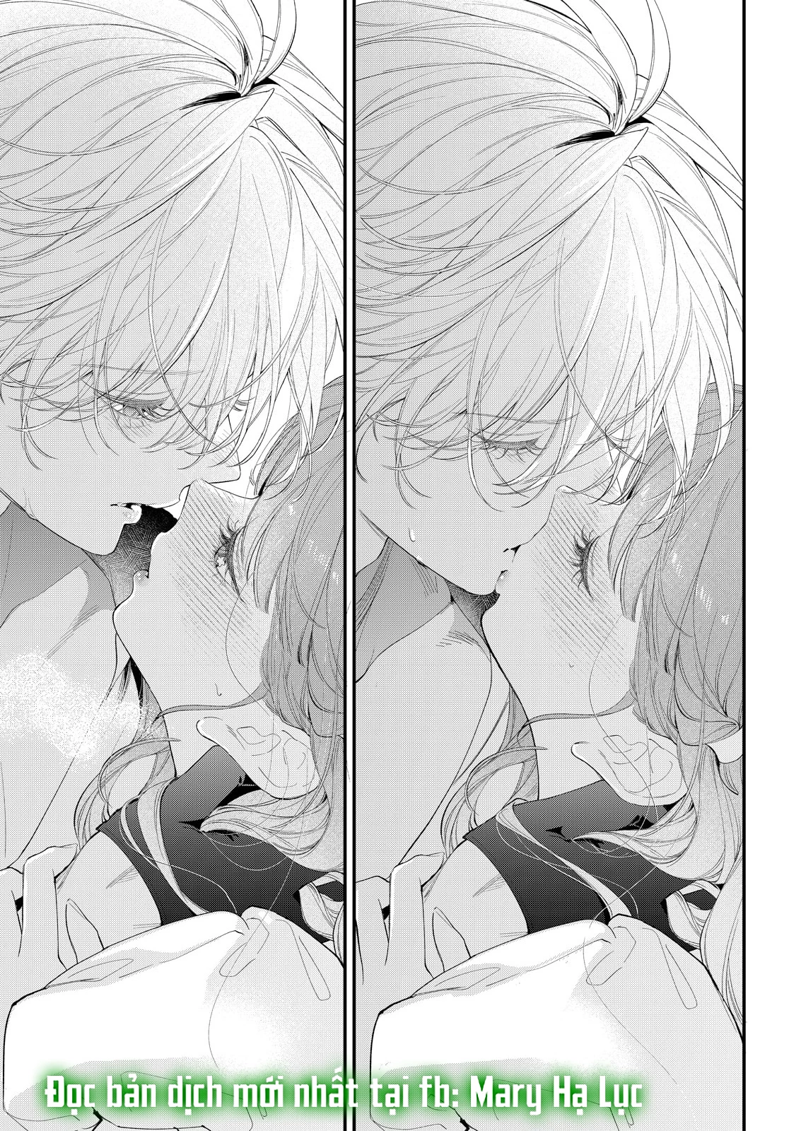 Sao Băng Ẩn Trong Hoa Chapter 20.2 - Trang 2