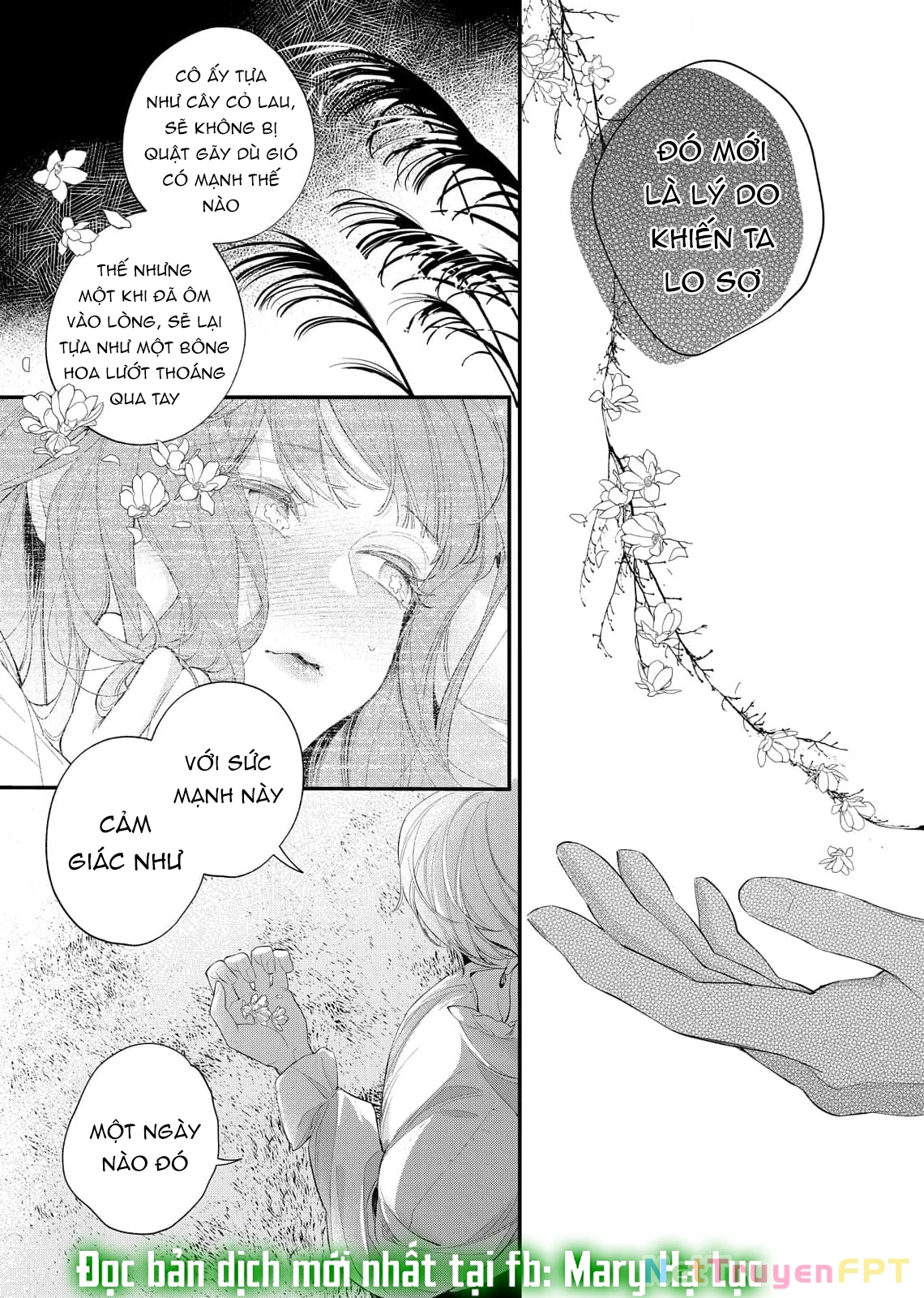 Sao Băng Ẩn Trong Hoa Chapter 21.2 - Trang 2