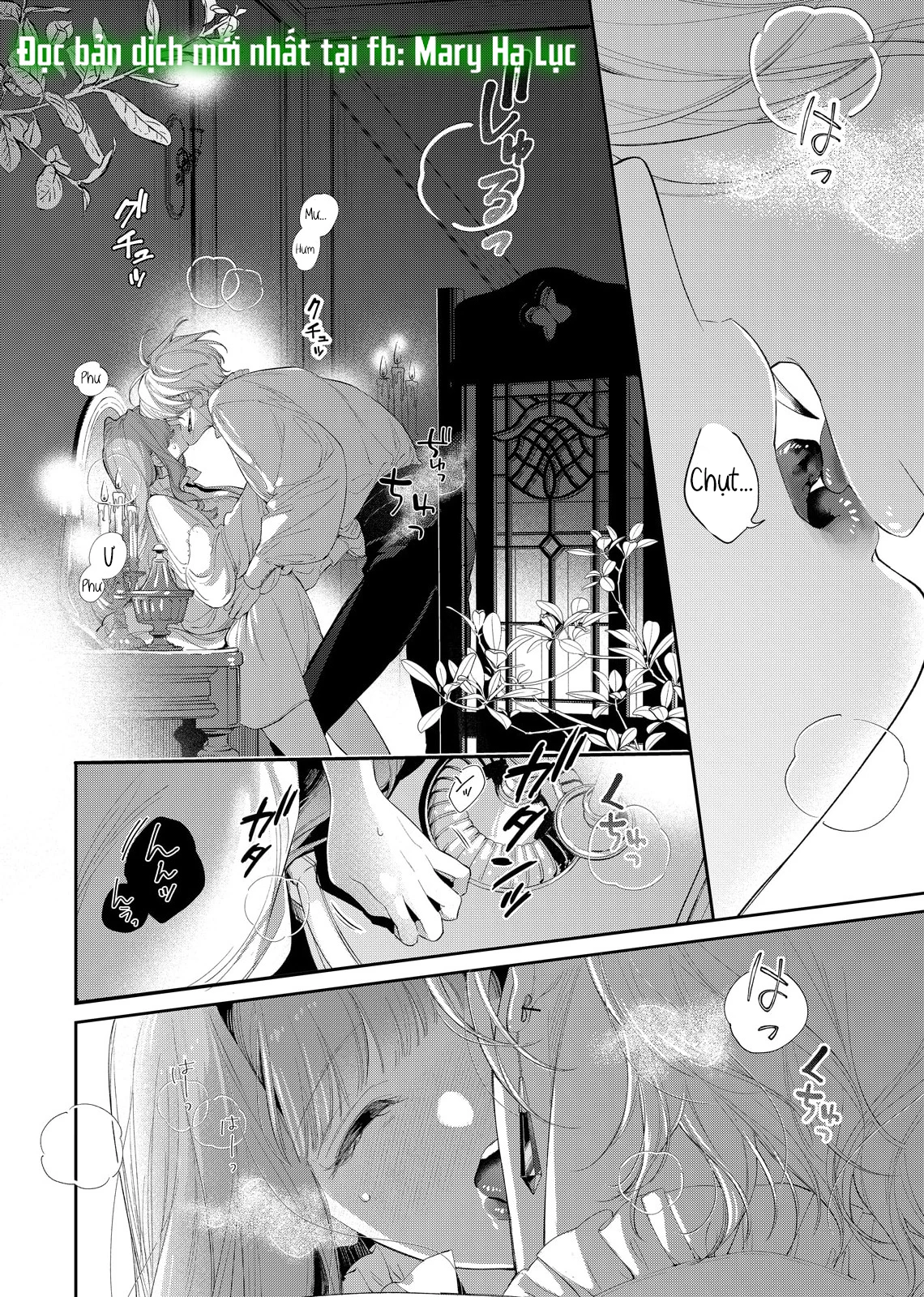 Sao Băng Ẩn Trong Hoa Chapter 26.2 - Trang 2