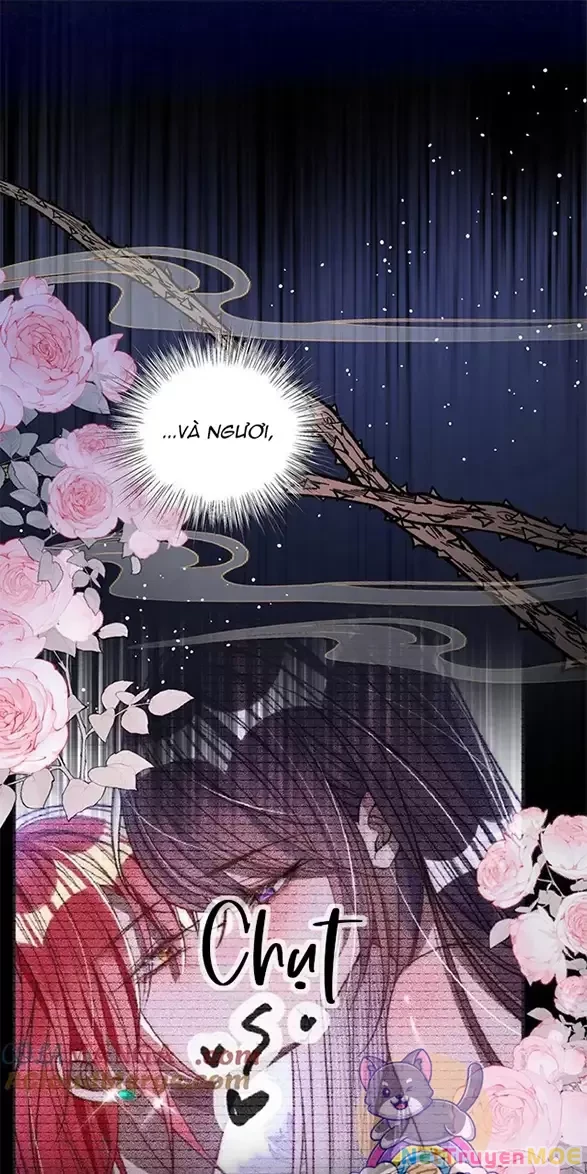 Nuông Chiều Mỹ Nhân Cuồng Nhiệt Chapter 16 - Trang 2