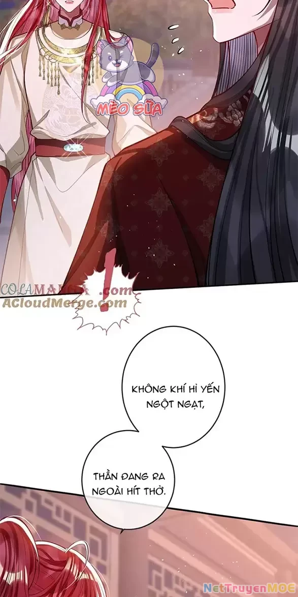 Nuông Chiều Mỹ Nhân Cuồng Nhiệt Chapter 16 - Trang 2