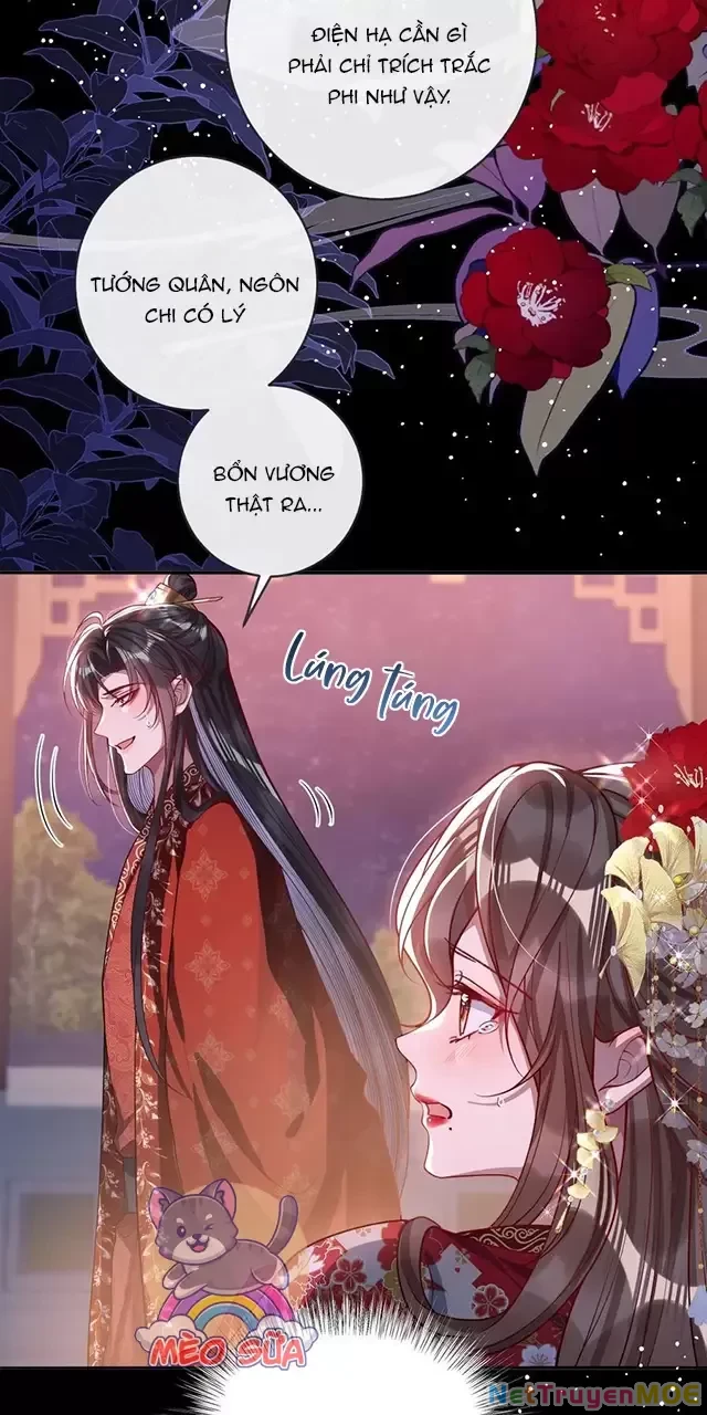 Nuông Chiều Mỹ Nhân Cuồng Nhiệt Chapter 16 - Trang 2