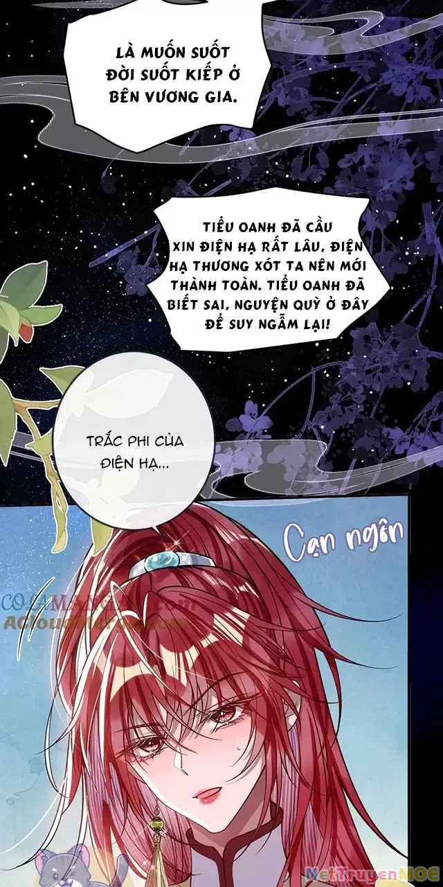 Nuông Chiều Mỹ Nhân Cuồng Nhiệt Chapter 16 - Trang 2