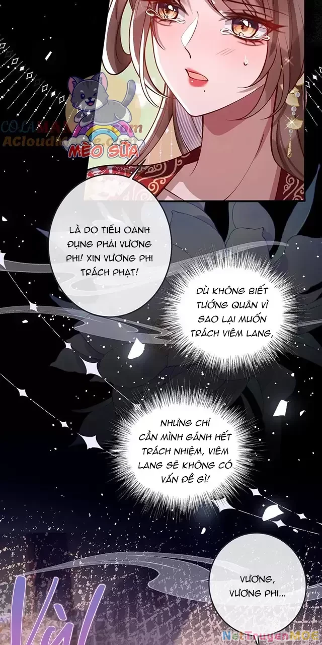 Nuông Chiều Mỹ Nhân Cuồng Nhiệt Chapter 16 - Trang 2