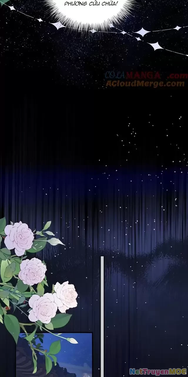 Nuông Chiều Mỹ Nhân Cuồng Nhiệt Chapter 16 - Trang 2