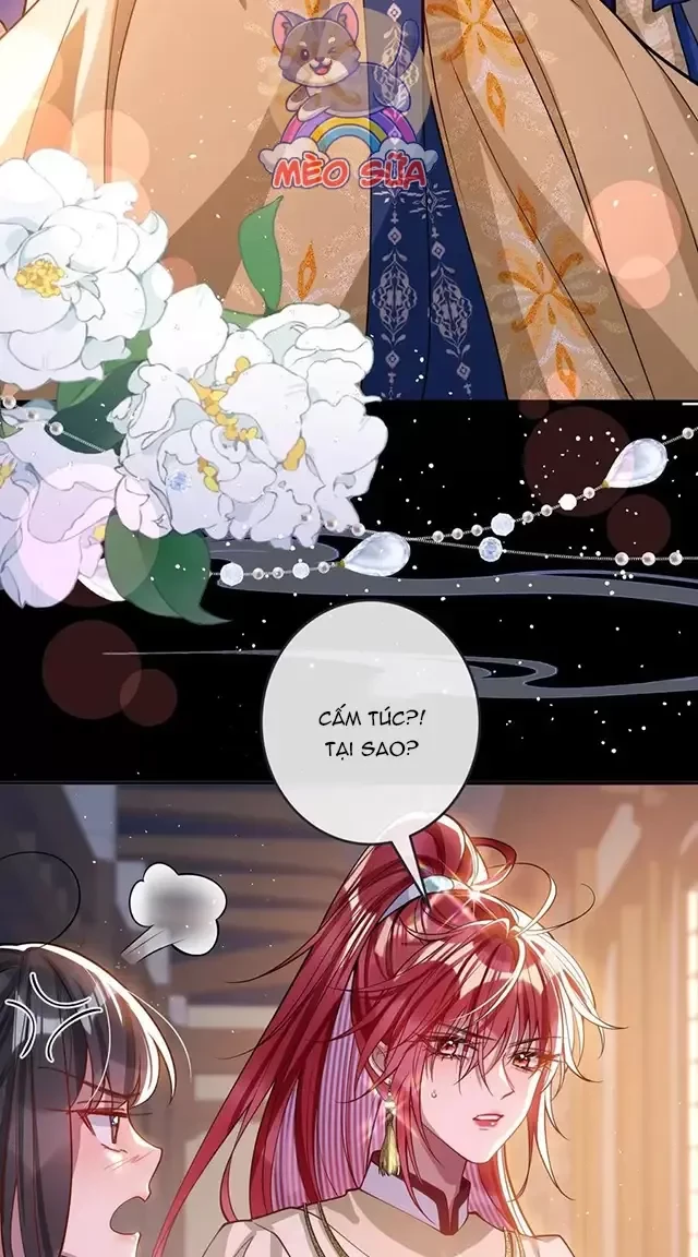 Nuông Chiều Mỹ Nhân Cuồng Nhiệt Chapter 16 - Trang 2