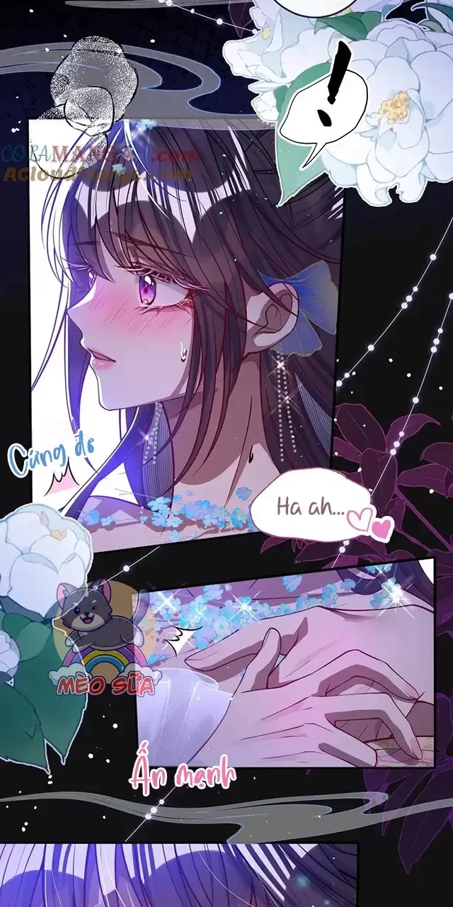 Nuông Chiều Mỹ Nhân Cuồng Nhiệt Chapter 19 - Trang 2