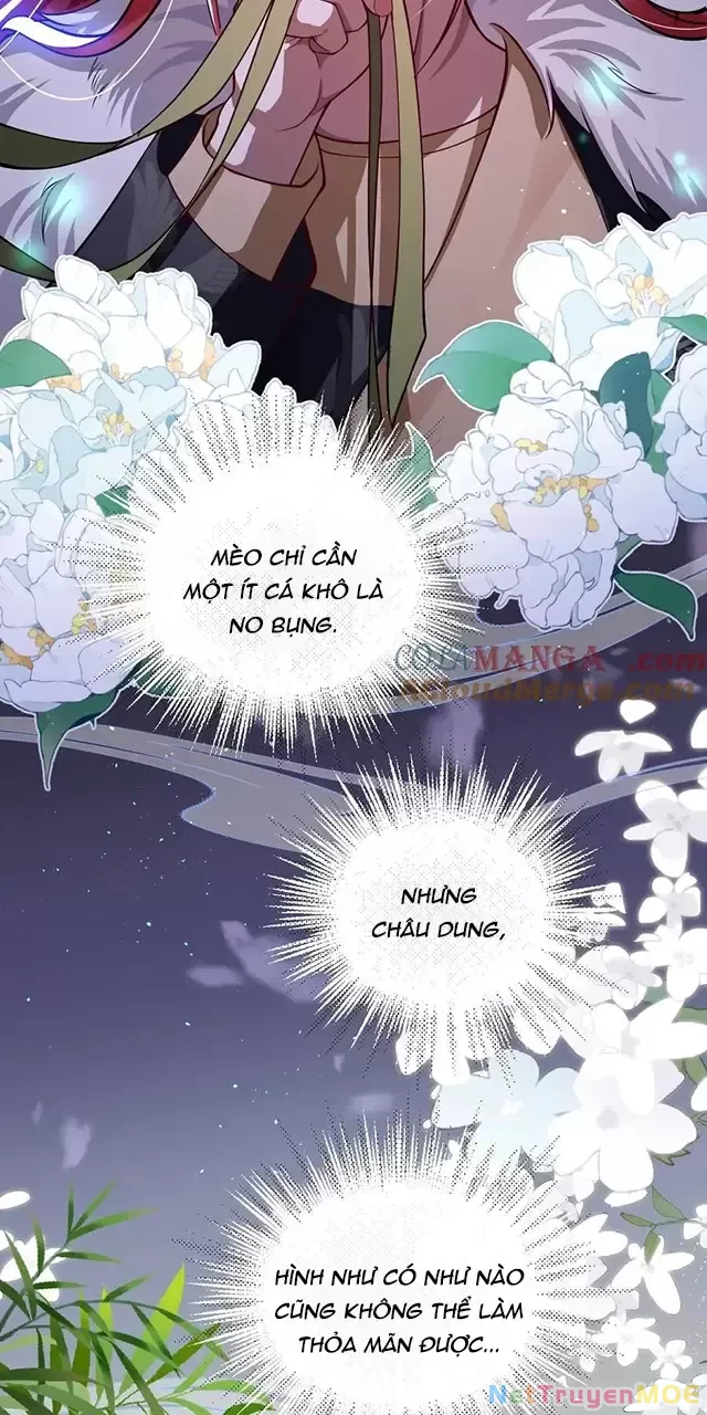 Nuông Chiều Mỹ Nhân Cuồng Nhiệt Chapter 19 - Trang 2