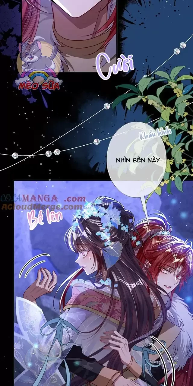 Nuông Chiều Mỹ Nhân Cuồng Nhiệt Chapter 19 - Trang 2