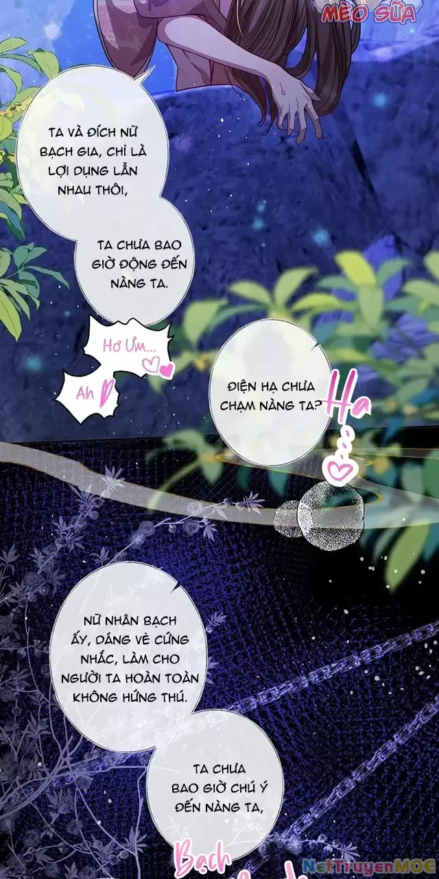 Nuông Chiều Mỹ Nhân Cuồng Nhiệt Chapter 19 - Trang 2