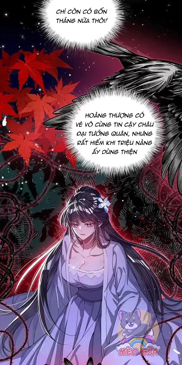 Nuông Chiều Mỹ Nhân Cuồng Nhiệt Chapter 22 - Trang 2