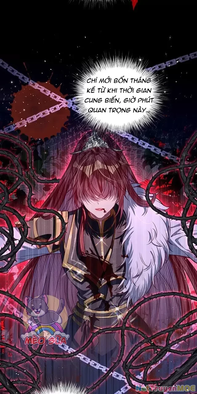 Nuông Chiều Mỹ Nhân Cuồng Nhiệt Chapter 22 - Trang 2